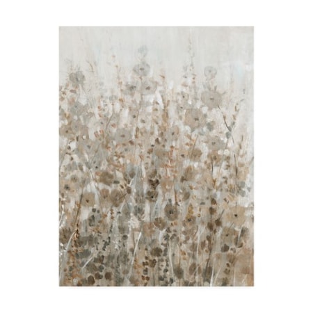 Trademark Fine Art
